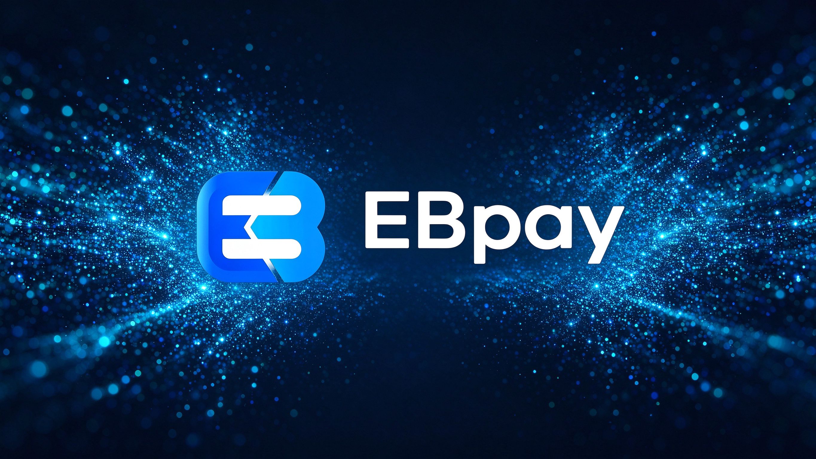 EBpay怎么使用才安全｜风险与安全指南
